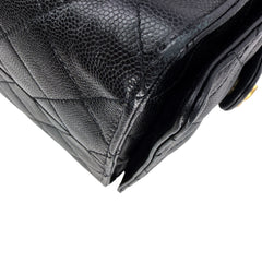 C25 Large Caviar Microchipped