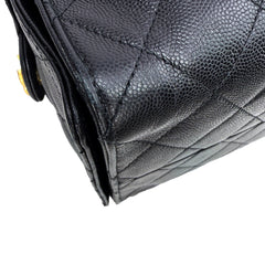 C25 Large Caviar Microchipped