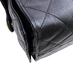 C25 Large Caviar Microchipped