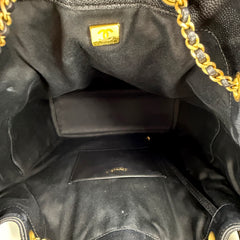 C25 Large Caviar Microchipped