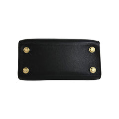 Steamer Mini Microchipped