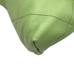 C22 Small Microchipped