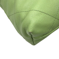 C22 Small Microchipped