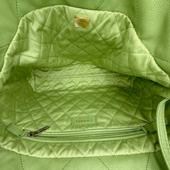 C22 Small Microchipped
