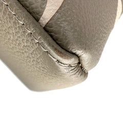 Petit Palais Microchipped