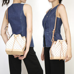 Petit Noe Microchipped