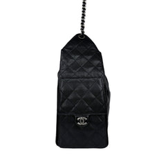 C25 Medium Microchipped