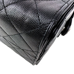 C25 Medium Microchipped