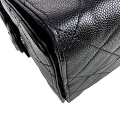 C25 Medium Microchipped