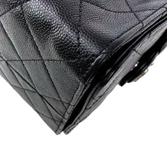 C25 Medium Microchipped