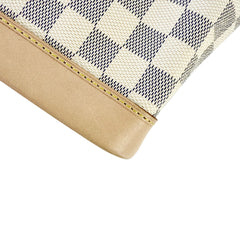 Petit Noe Microchipped