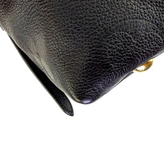 CarryAll PM Microchipped