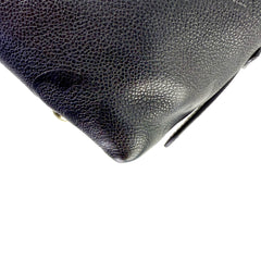 CarryAll PM Microchipped